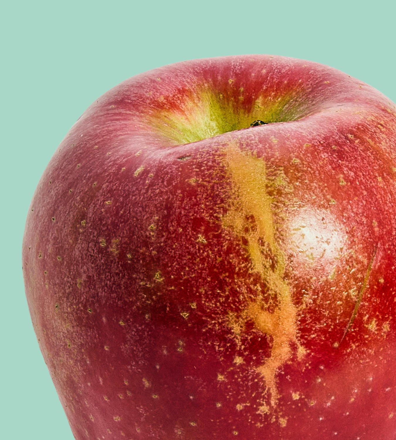 ◆エビApple The Less-Than-Perfect Box – Yes! Apples