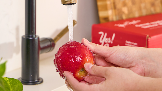 Maximizing Freshness: How to Properly Store Your Apples