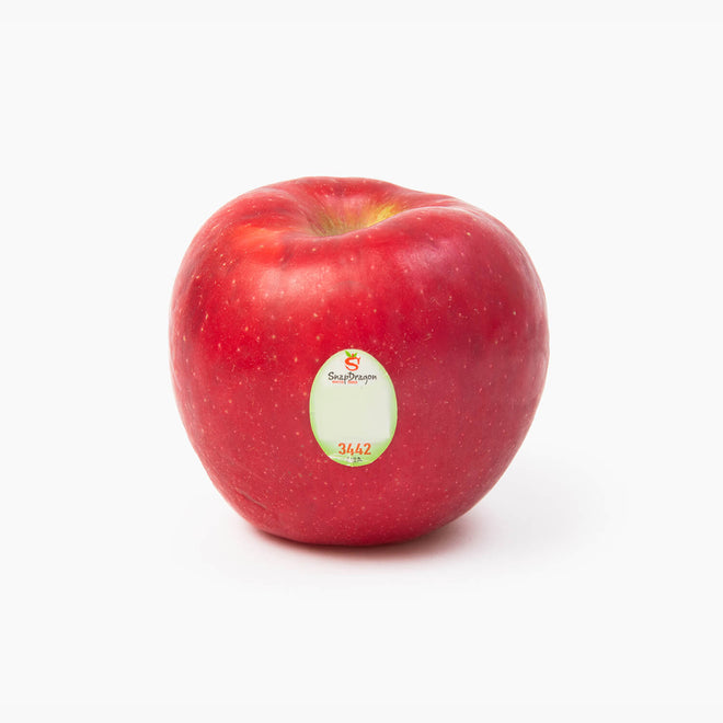 SnapDragon®