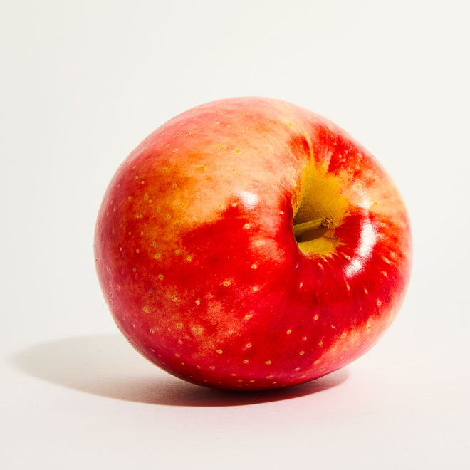 The Everyday Fuel Box