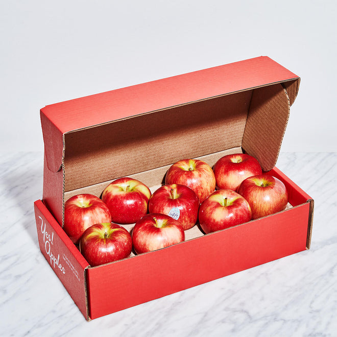 Honeycrisp Apple 18 Count Gift Box