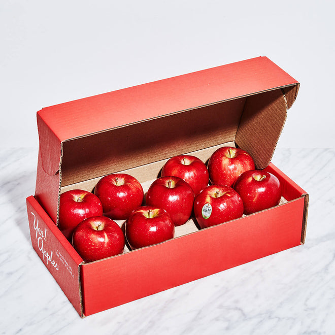 SnapDragon®
